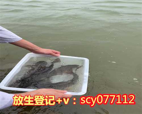 放生的鱼类湛江，湛江哪个公园能放生鲫鱼啊【放生过后钓鱼有什么不好吗】