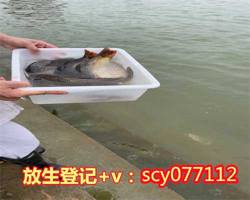 中宁县哪里可以放生鱼类的