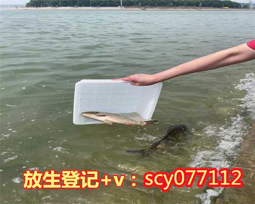 南京放生地点公布最新消息新闻，网传南京紫金山现眼镜蛇野蛮放生害人害己害