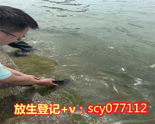 江西哪里能放生小红鱼，高振农教授：马祖道一与江西洪州禅