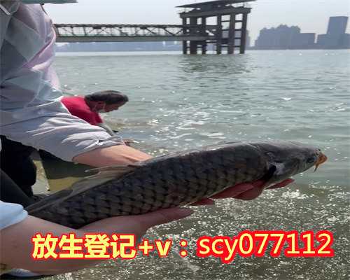 重庆放生园放生蝎子，重庆市华岩文教基金会放生两万鱼苗回归自然