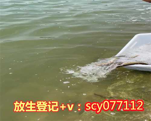 邯郸个人放生视频，邯郸哪里可以放生小鱼呢，邯郸哪里放生鱼最安全的