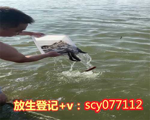 郑州放生飞禽在哪里，郑州龙湖疑有人放生两只鳄鱼