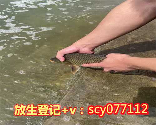 重庆公园放生淡水鱼，重庆小吃江津桃仁花糖的做法
