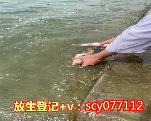 漳州鱼放生，漳州放生鸭子的地方，漳州放生乌龟的仪式