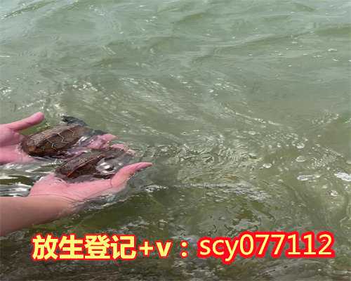 上海哪里可以放生虾，上海明因寺将于7月20日恢复开放